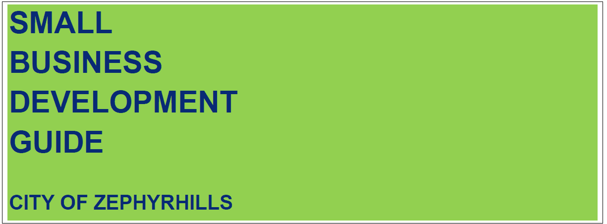 Small Business Development Guide