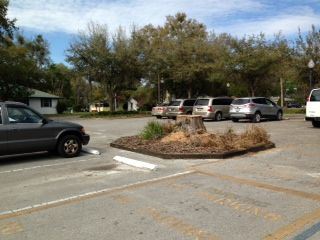 tree stump in parking lot