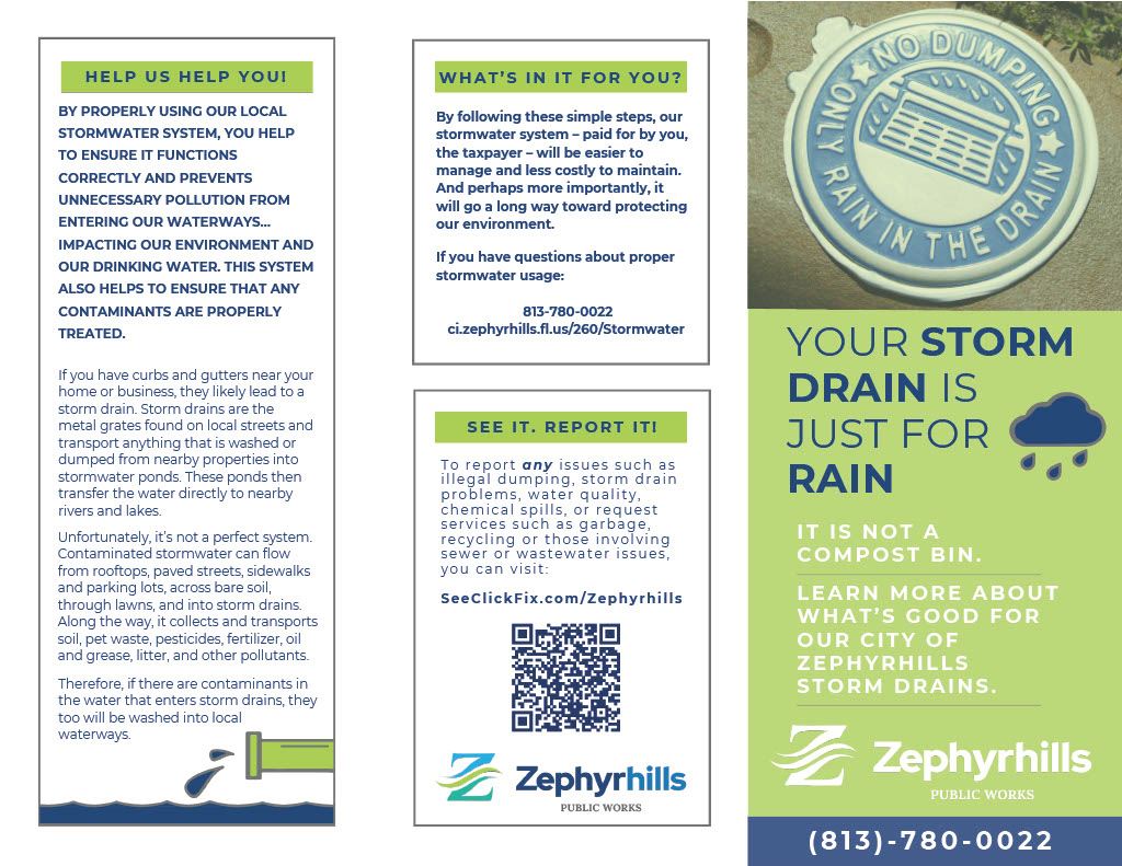 1736541054433-ae136758-48a1-4aac-863b-446245935327_1